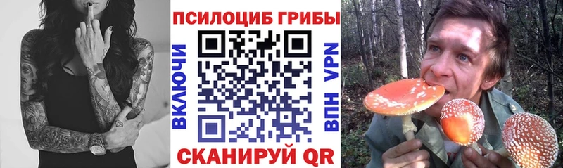 kraken зеркало  Ясногорск  Псилоцибиновые грибы Psilocybine cubensis  где продают  